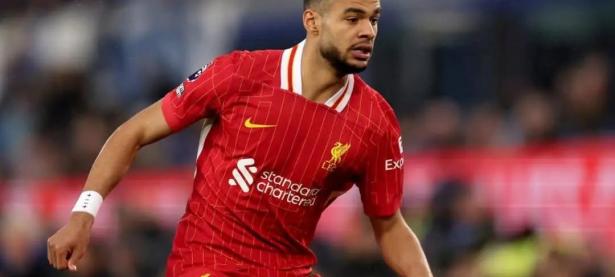 爱游戏登录-利物浦继续在欧洲舞台上表现出色，轻松取得胜利