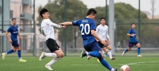 爱游戏app下载-上海申花球员集体努力，备战状态佳的简单介绍