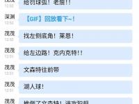 爱游戏网页版-关于黄蜂队实力稳定，战绩节节攀升的信息