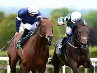 爱游戏体育下载-爱尔兰选手在马术比赛中获胜(爱尔兰选手在马术比赛中获胜的原因)