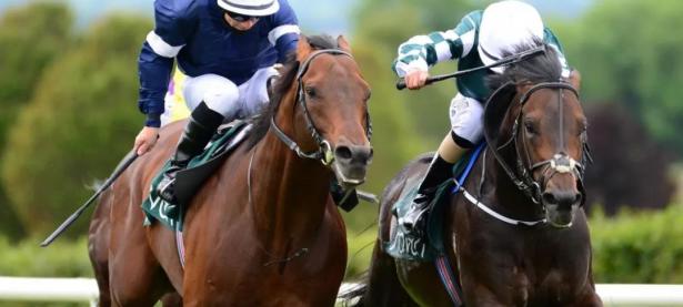 爱游戏体育下载-爱尔兰选手在马术比赛中获胜(爱尔兰选手在马术比赛中获胜的原因)