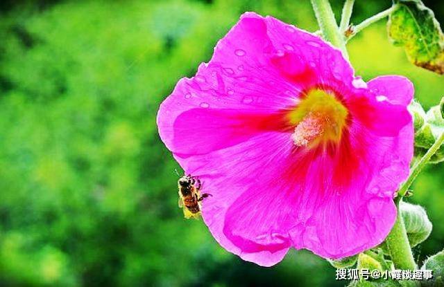 风起云涌的比赛场面中,每一刻都扣人心弦 风起云涌的比赛场面中,每一刻都扣人心弦